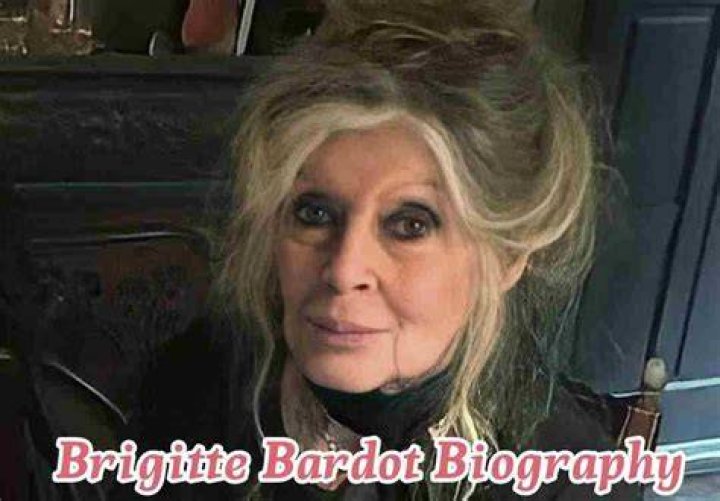 ACT: Brigitte Gabriel Husband,Wiki Age, Biography, Net Worth, Bio, Books
