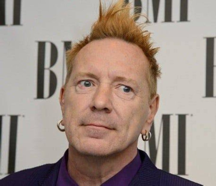 John Lydon Aka Johnny Rotten Net Worth, Income, Salary, Earnings, Biography