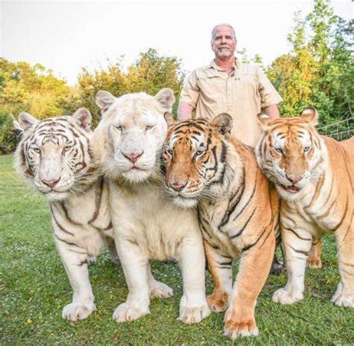 Obituary: Who Is Dianne Ducharme Tiger King? Details To Know About His Death And Connection With Doc Antle