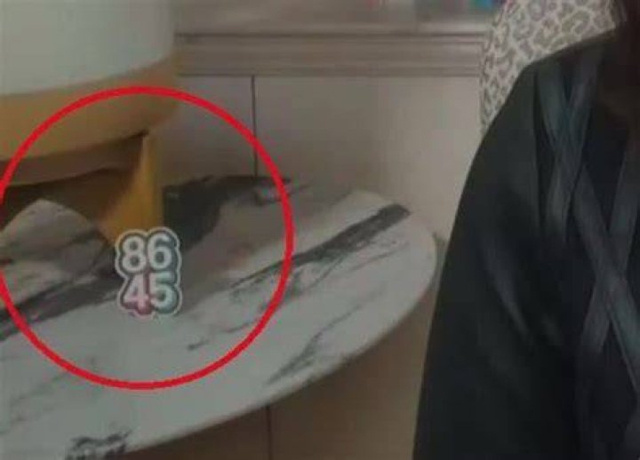 What does 8645 mean? Gretchen Whitmer 8645 Sticker Meaning Explained