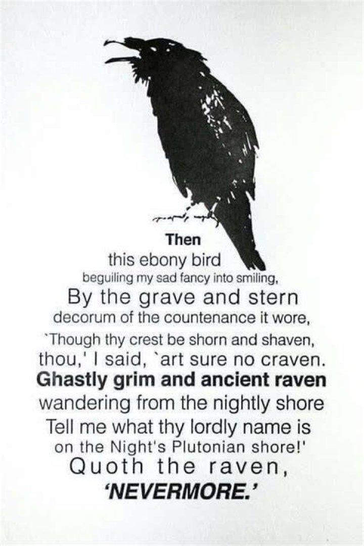 What does nevermore mean